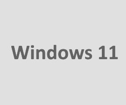 Windows 11 - grau
